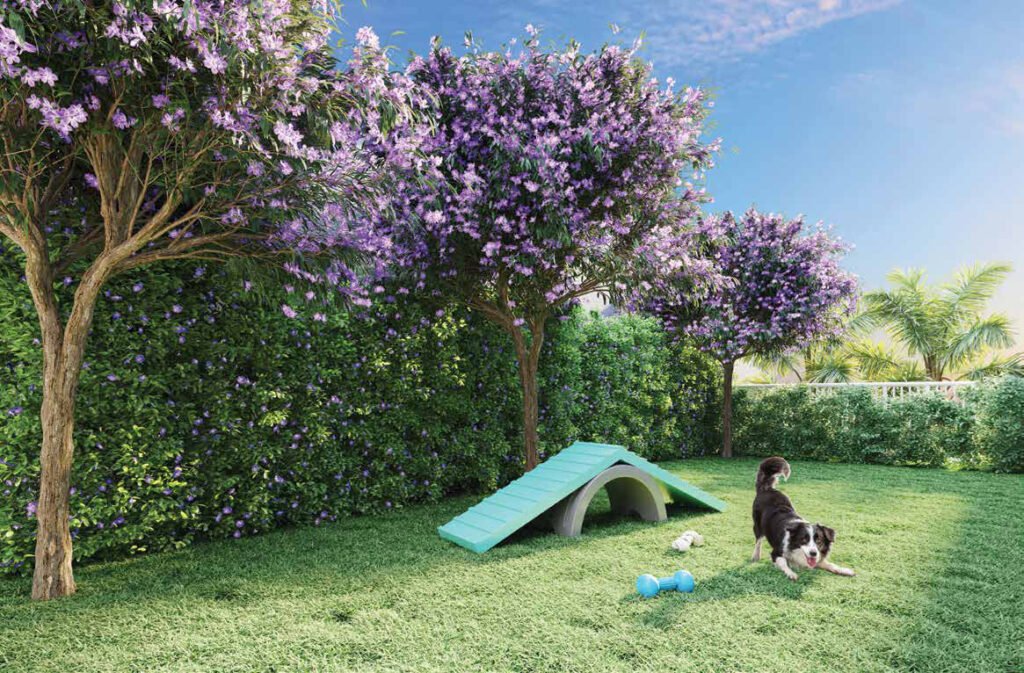 Villares Parada Inglesa – Pet Place