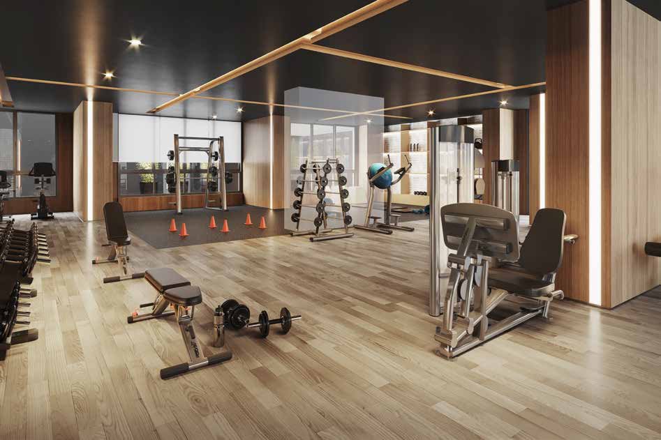 Arkadio – Fitness Design By Cia Athletica