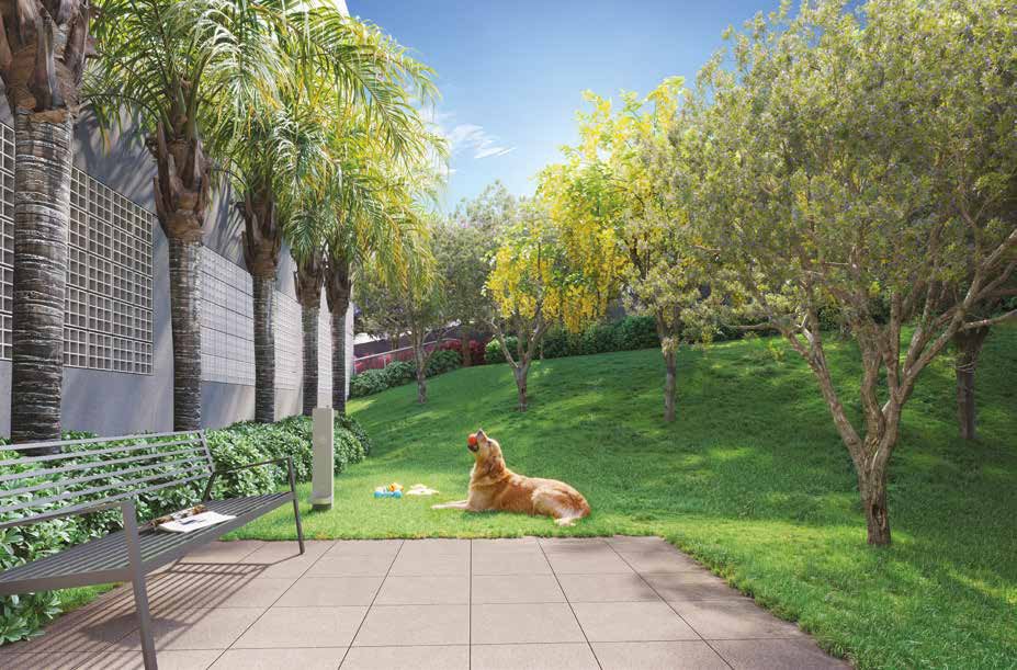 Azzure Resort Life – Pet Place